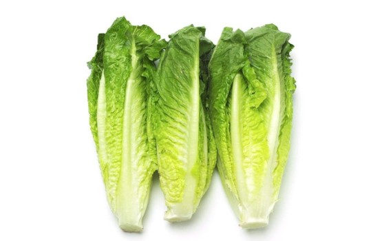 Salade Romaine Primeur Djg