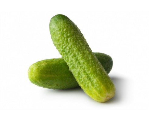 Cornichon