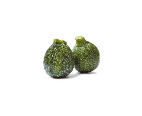 courgette