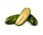 avocat