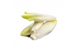 Endive Local